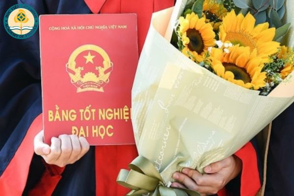 cac he dao tao